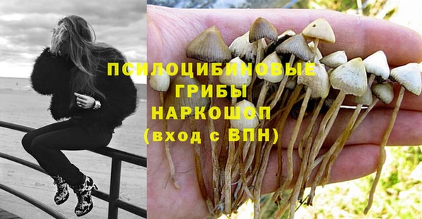 альфа пвп Заволжск
